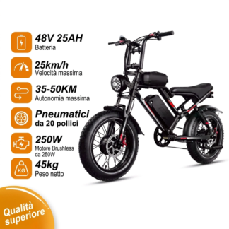 Scheda tecnica HiQiS S8: batteria 48V 25Ah, 25 km/h, autonomia 35-50 km, motore 250W